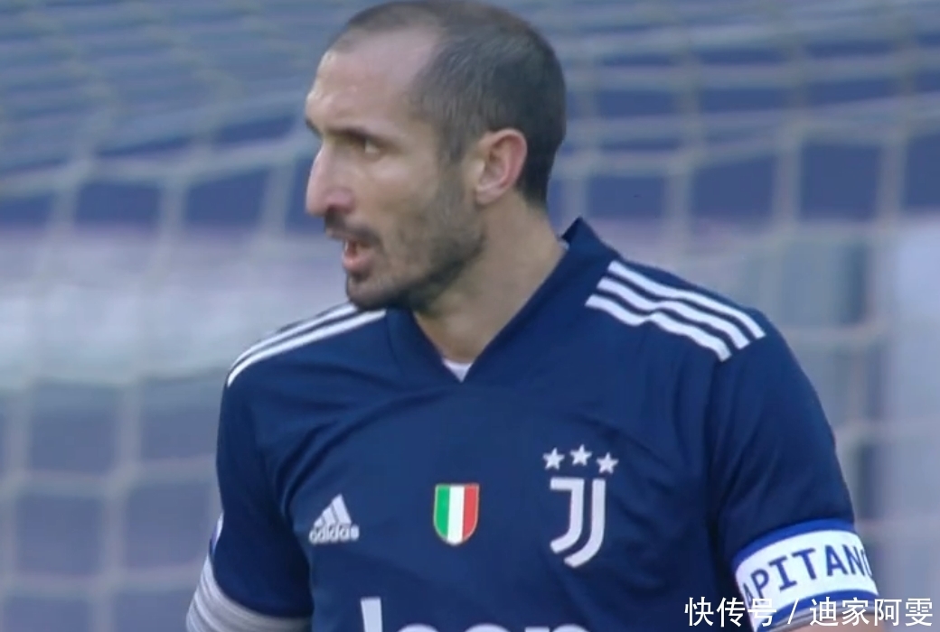 专业度与真 专业度与真